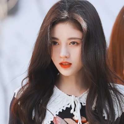 智叻狗仔队