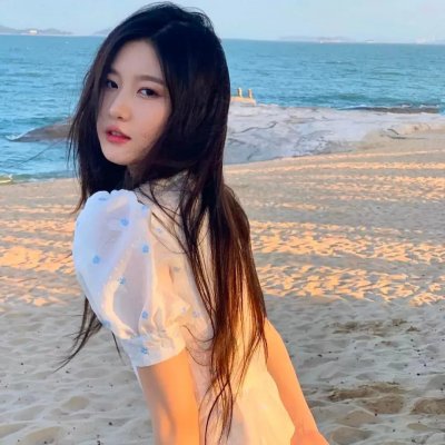 不死鸟之恋