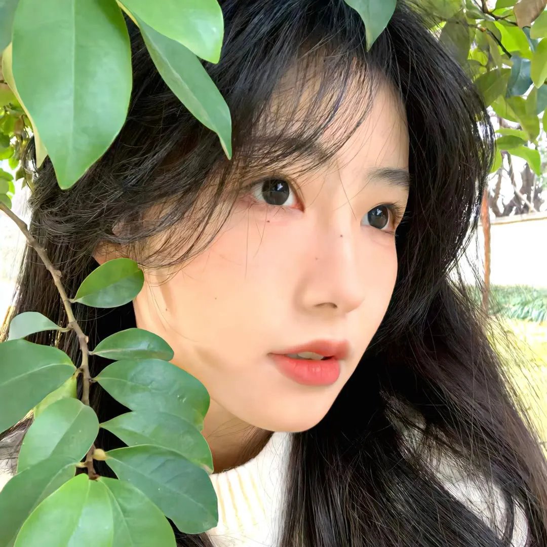 万渣朝凰第三季
